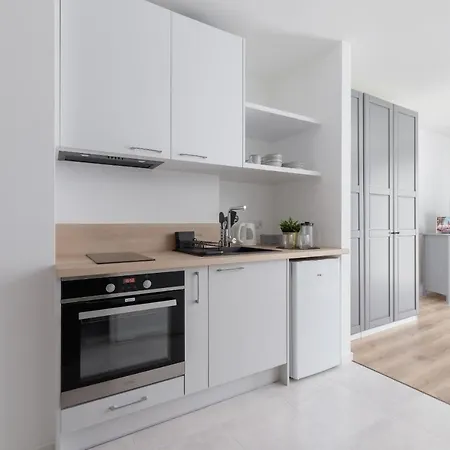 Apartment Elegant Pet-friendly In By Renters Krakow