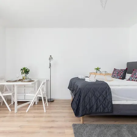 Apartment Elegant Pet-friendly In By Renters *